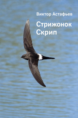 Стрижонок Скрип - Виктор Астафьев - Серии Аудиокниг 🔊 Цикл Аудиокниг 🆓 Литрес 100% Бесплатно
