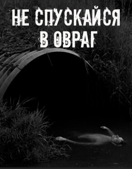 Не спускайся в овраг - Автор неизвестен - Серии Аудиокниг 🔊 Цикл Аудиокниг 🆓 Литрес 100% Бесплатно