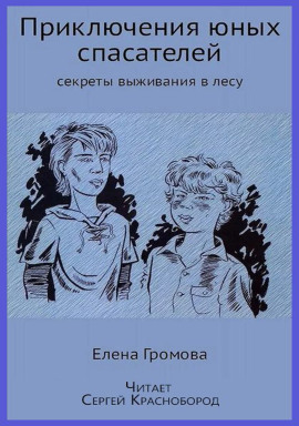 Приключения юных спасателей - Елена Громова - Серии Аудиокниг 🔊 Цикл Аудиокниг 🆓 Литрес 100% Бесплатно