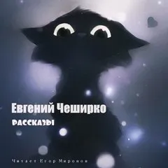 Рассказы - Евгений ЧеширКо - Серии Аудиокниг 🔊 Цикл Аудиокниг 🆓 Литрес 100% Бесплатно