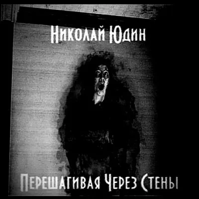 Перешагивая Через Стены - Юдин Николай - Серии Аудиокниг 🔊 Цикл Аудиокниг 🆓 Литрес 100% Бесплатно