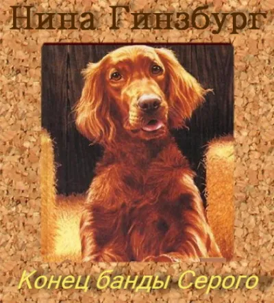 Конец банды Серого - Нина Гинзбург - Серии Аудиокниг 🔊 Цикл Аудиокниг 🆓 Литрес 100% Бесплатно