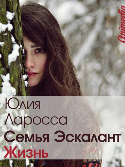 Жизнь - Юлия Ларосса - Серии Аудиокниг 🔊 Цикл Аудиокниг 🆓 Литрес 100% Бесплатно