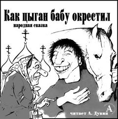 Как цыган бабу окрестил - Серии Аудиокниг 🔊 Цикл Аудиокниг 🆓 Литрес 100% Бесплатно