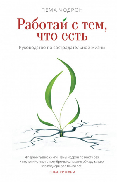 Работай с тем, что есть. Руководство по сострадательной жизни - Пема Чодрон - Серии Аудиокниг 🔊 Цикл Аудиокниг 🆓 Литрес 100% Бесплатно