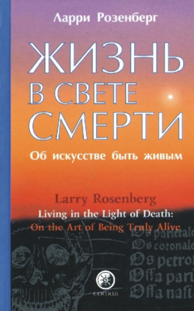 Жизнь в свете смерти - Ларри Розенберг - Серии Аудиокниг 🔊 Цикл Аудиокниг 🆓 Литрес 100% Бесплатно